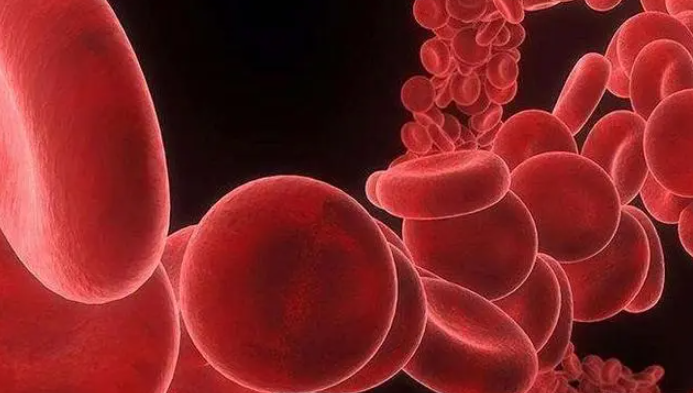 《自然》杂志：人类首次在实验室中诱导出功能性造血干细胞