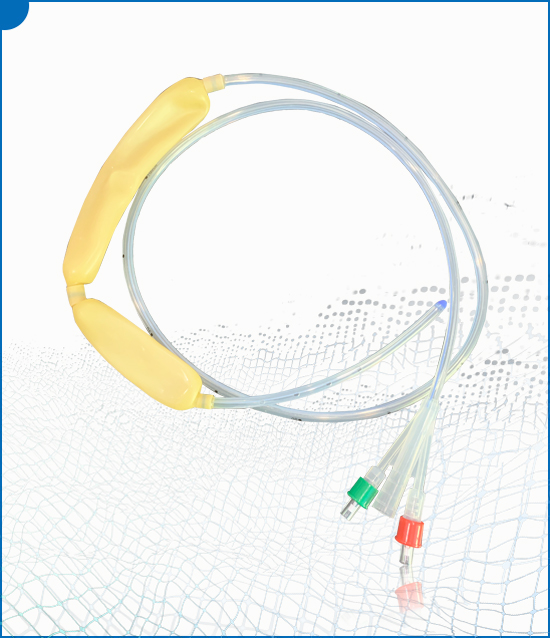 Disposable dual-bag and three-cavity stomach catheter